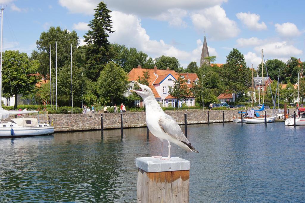 Campsite Ostsee Mobilheime Heideby Waabs